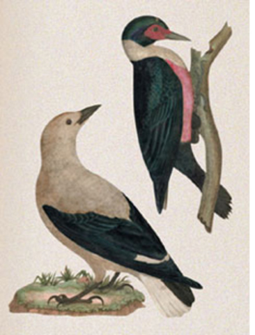 Lewis and Clark Expedition Ends