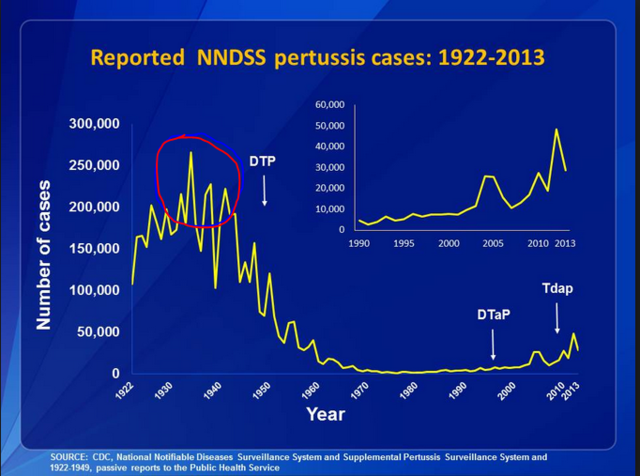 The highest number of pertussis cases
