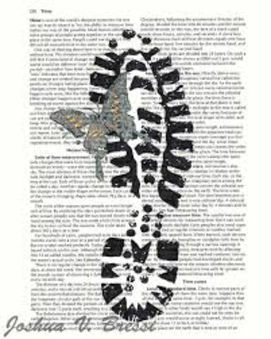 Eckle gets introuble