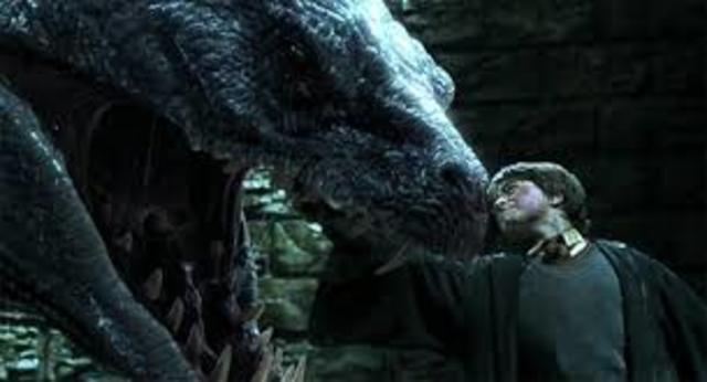 Harry Potter Fought with a basilisk