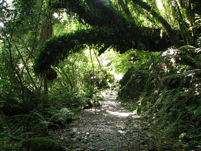 Explaining the Safari 2