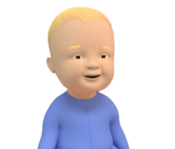 Object Permanence Test