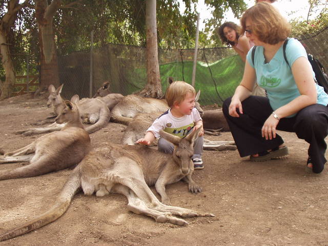 הטילו הראשון בחיים שלי היה לרמת הגולן כשהייתי בן שנתיים ובדרך עצרנו בגן גורו
