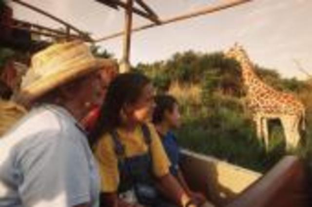 Disney's Animal Kingdom® Theme Park florida