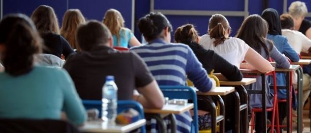 Finalista Estatal de la Cotorra de Matematicas