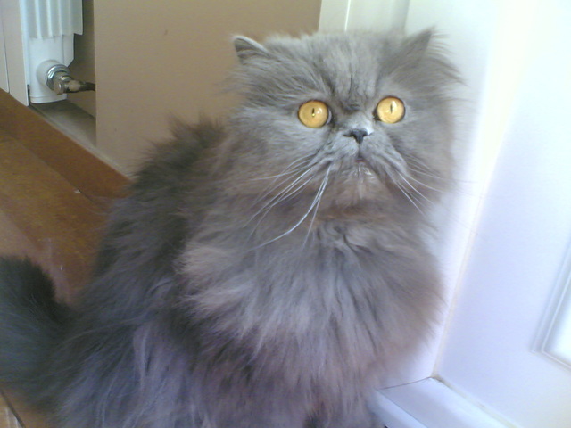 Se nos va nuestro pequeño