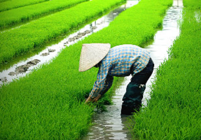 Modificaçao dos planos economicos