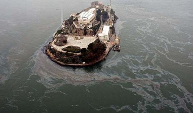 San Francisco Oil Spill