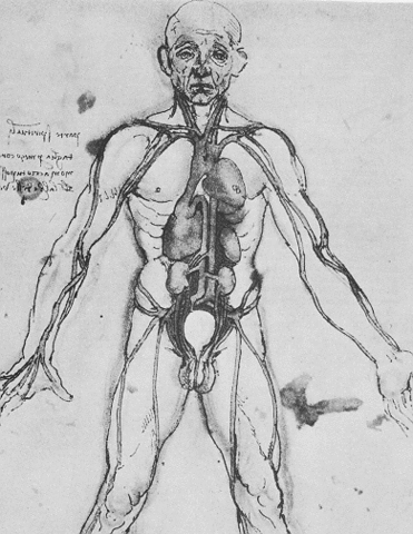 william harvey studied the animals and anatomy to create an accurate theory  of the heart of the circulatory system