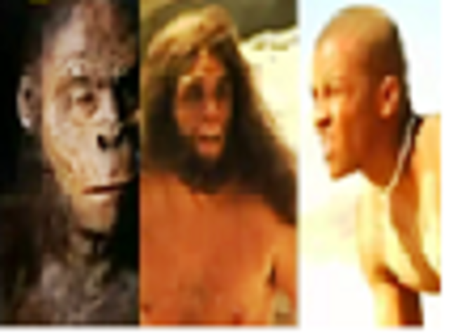 EVOLUCION DEL CONOCIMIENTO