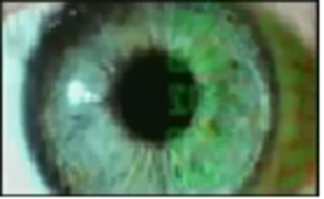 LA NUEVA REVOLUCIÓN