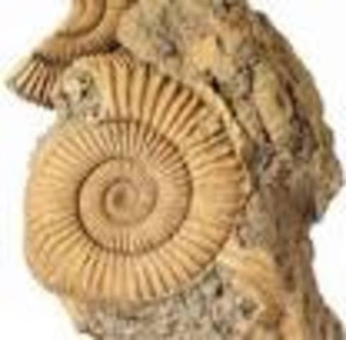 Hace 1.500 millones de años