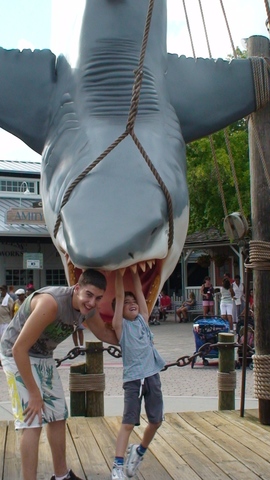 חופשה משפחתית בארצות הברית