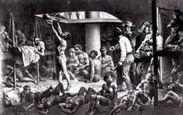slaves were shipped along the middle passage of the triangle trade to the americas
