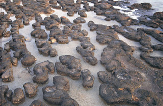 ATMOSFERA SECUNDÀRIA