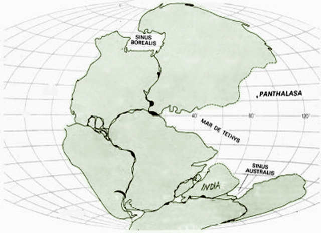 A. Wegones. La seva teoria