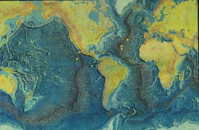 En la Segunda Guerra Mundial