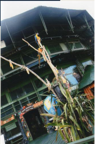 Manaus minha primeira viajem de avião- Yasmim