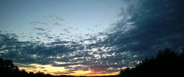 Ecosystems Need Clean Air