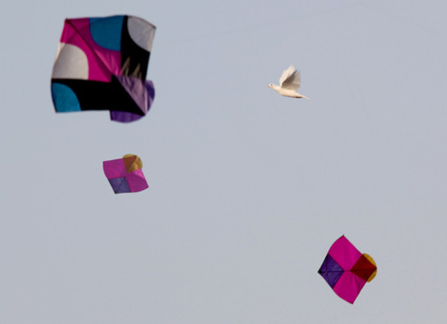 Kite flying in Kabul