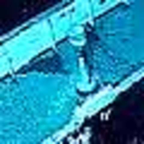 petrolheiro mata milhões de animais