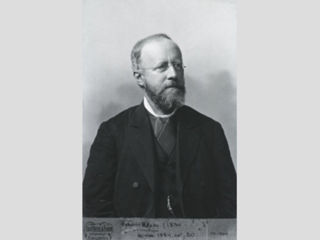 Bacterium Identified