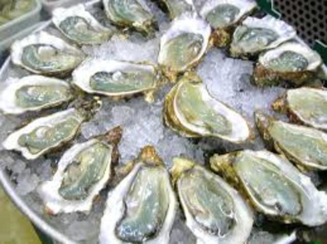 Oysters cause an Outbreak