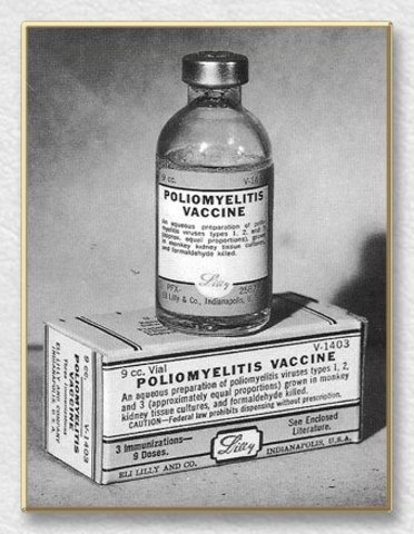 Development of the Vaccine