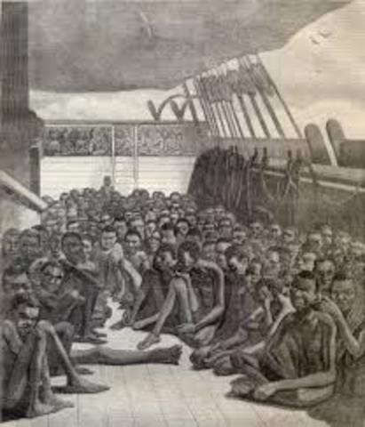 slaves was shipped along the middle passage of the triangular trade to the americas