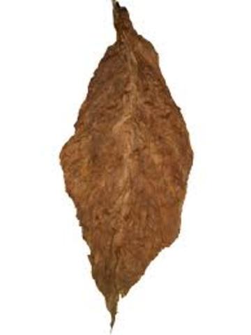 Tobacco was shipped along the Colombian Exchange of the Triangular Trade from the Americas