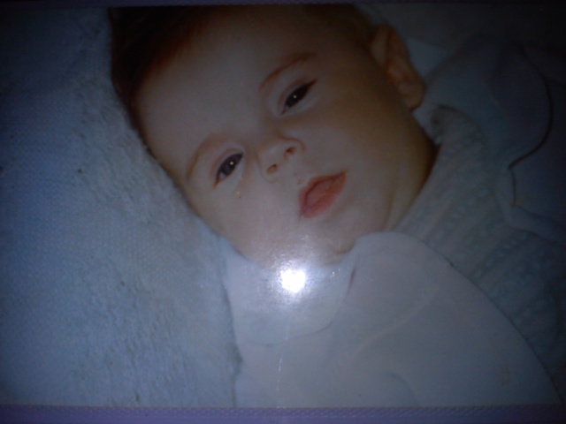 nacimiento de paloma