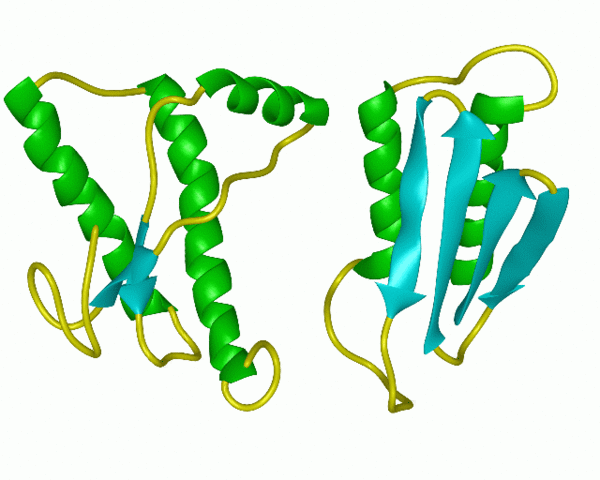 FATOS GERAIS DA HUMANIDADE O Prião