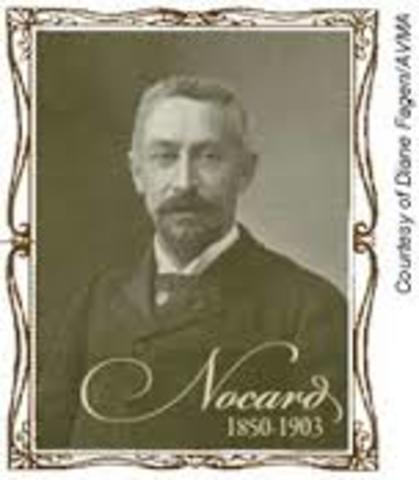 Edmond Nocard