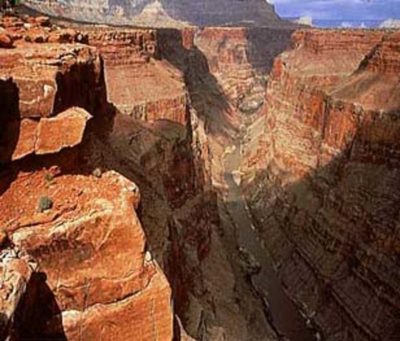 Fa 50 milions d'anys