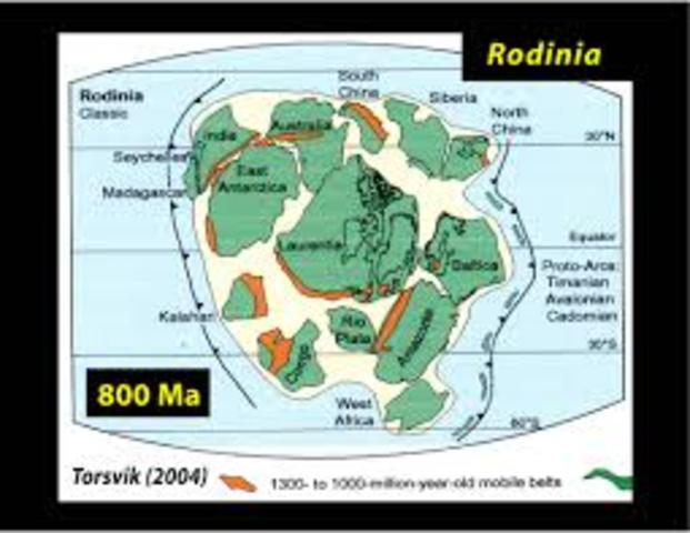 RODINIA