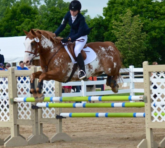 Silverwood horse trial