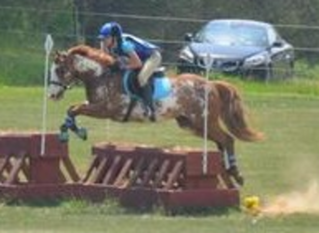 First horse trial (spring otter creek)