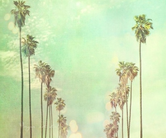 Move to the dry terrain of palm trees called Arizona