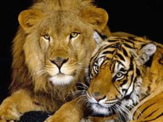 fa 50 milions d'añs