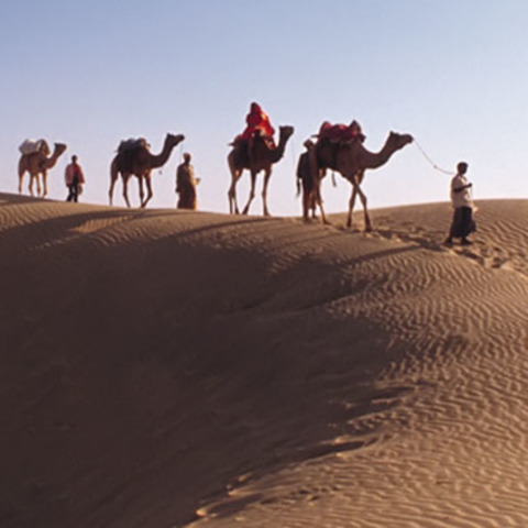 Muhammad Moves to Medina