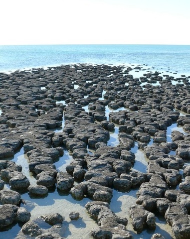 Fa 2500 milions d'anys...