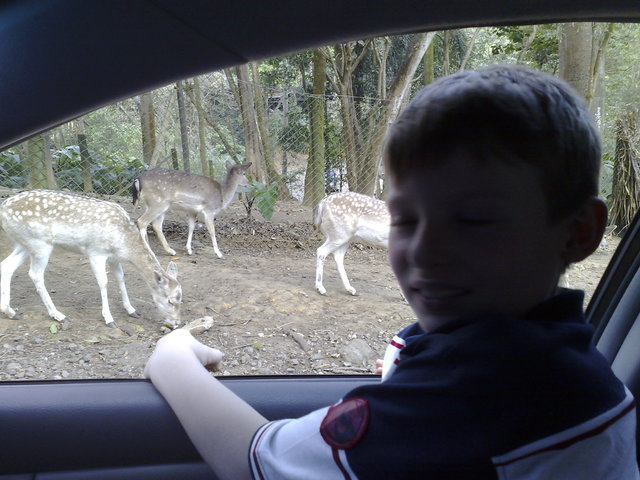 Felipe - no zológico de São Paulo