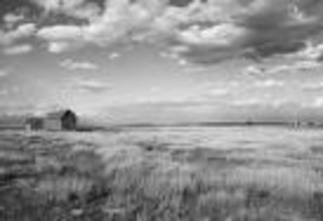 Large-scale agricultural begins in the High Plains