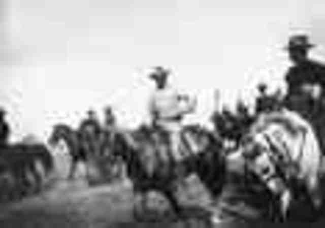 Theodore Roosevelt and the Rough Riders