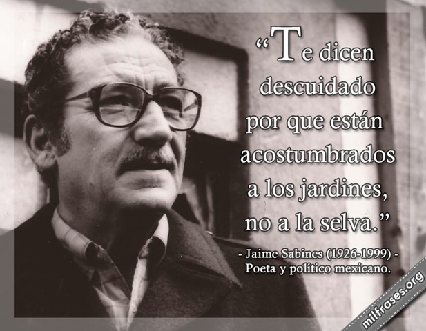 Premio Elías Sourasky