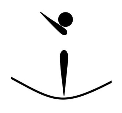 trampolin o cama elastica