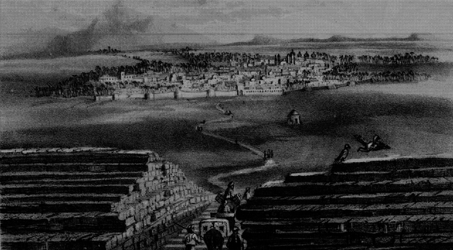 السنة الخامسة