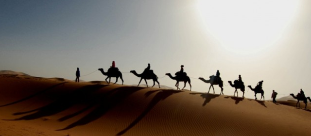 السنة السادسة