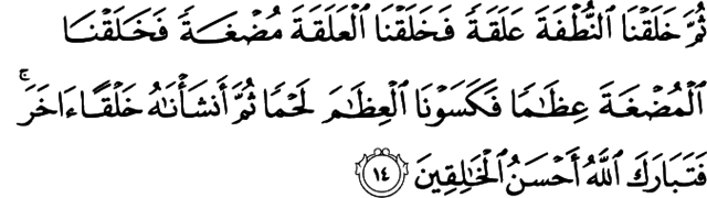 السنة السادسة من الهجرة: