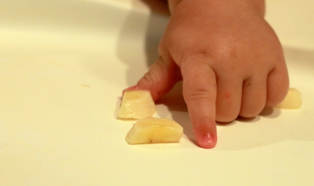 22 Months - Cognitive